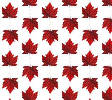 leaves metallic fabric maple|canadian maple leaf fabric.